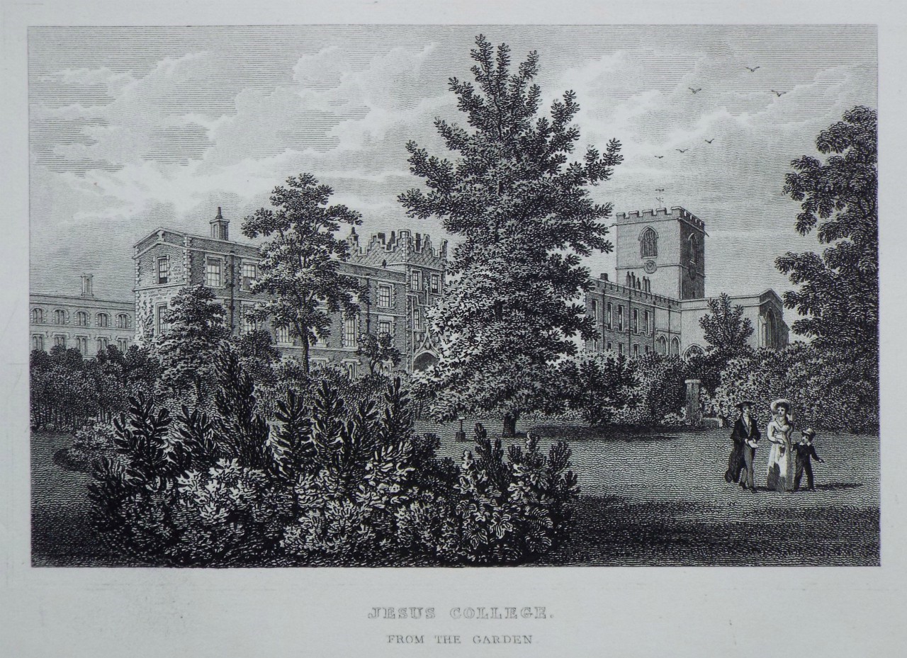 Print - Jesus College. From the Garden