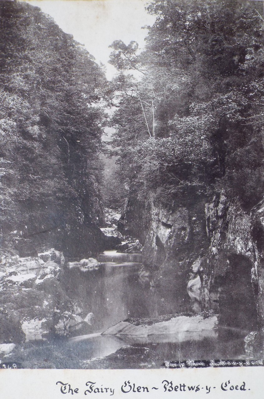 Photograph - The Fairy Glen, Bettwys-y-Coed