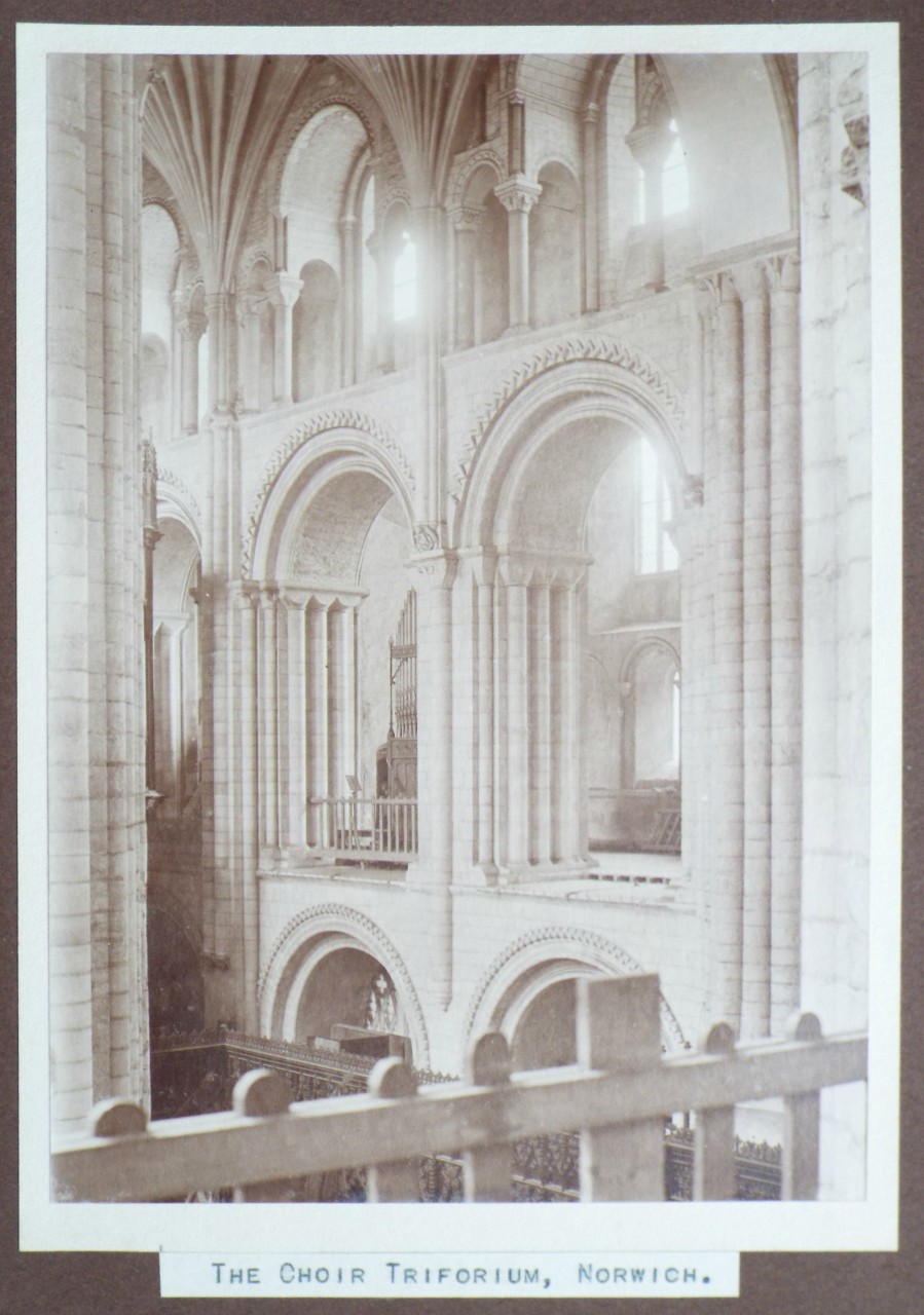 Photograph - The Choir Triforium, Norwich.