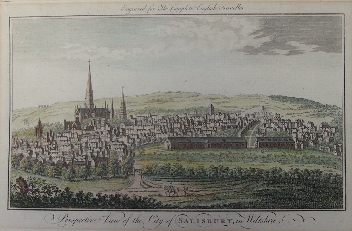 Print - Perspective View of the City of Salisbury, in Wiltshire