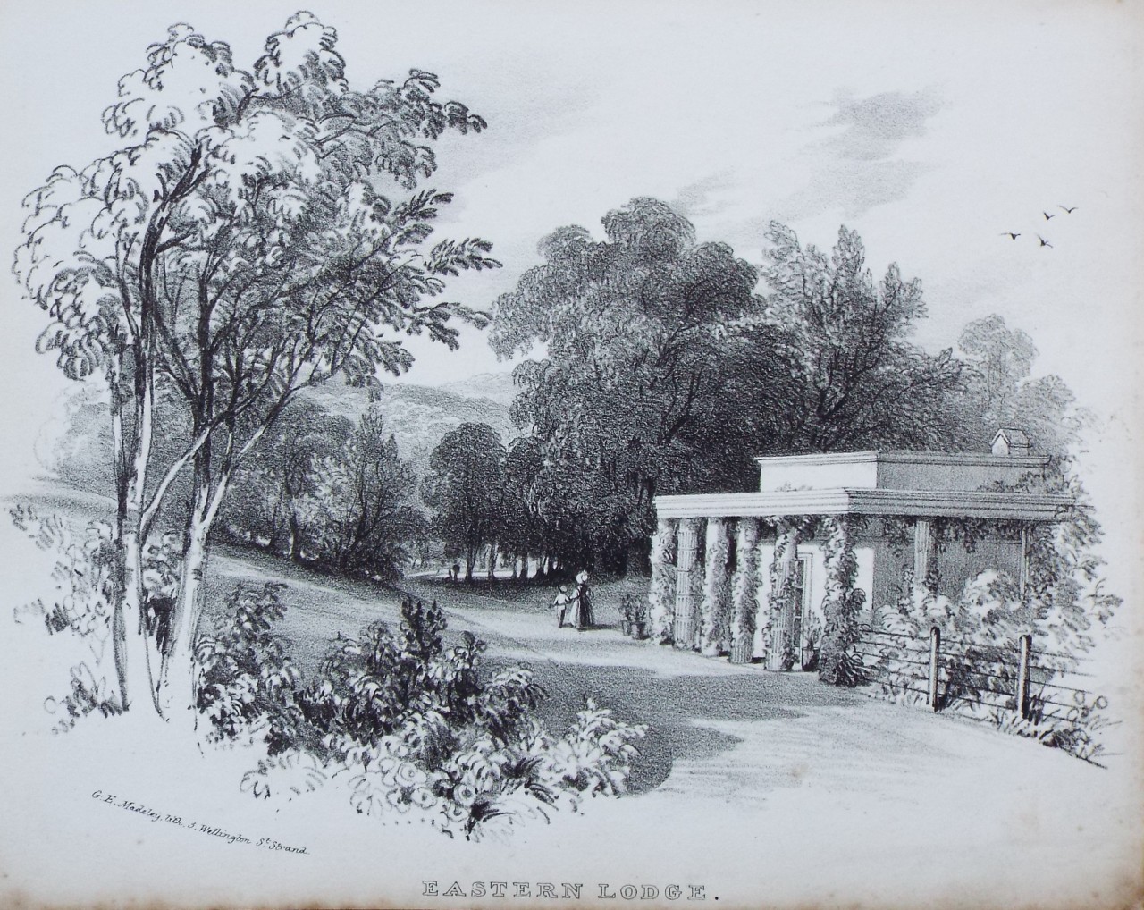 Lithograph - (Buckland House) Eastern Lodge.