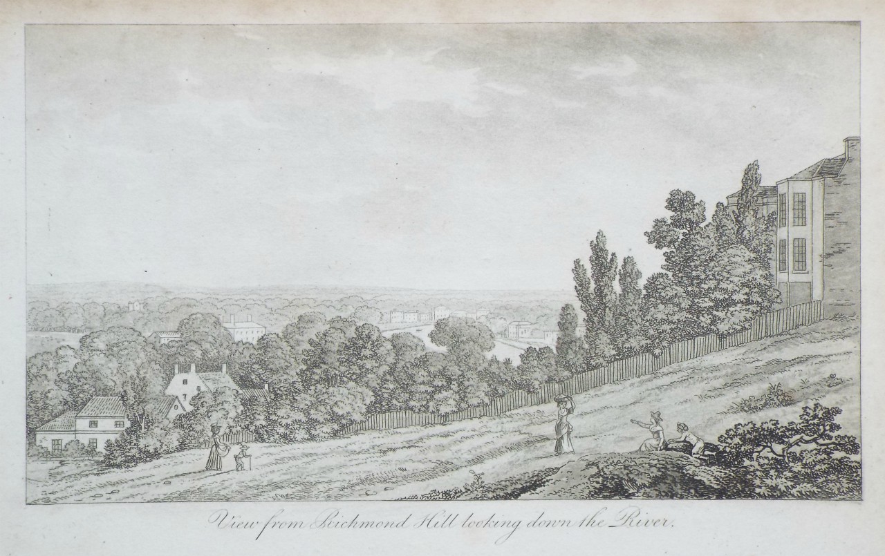 Aquatint - View from Richmond Hill looking down the River. - Robertson