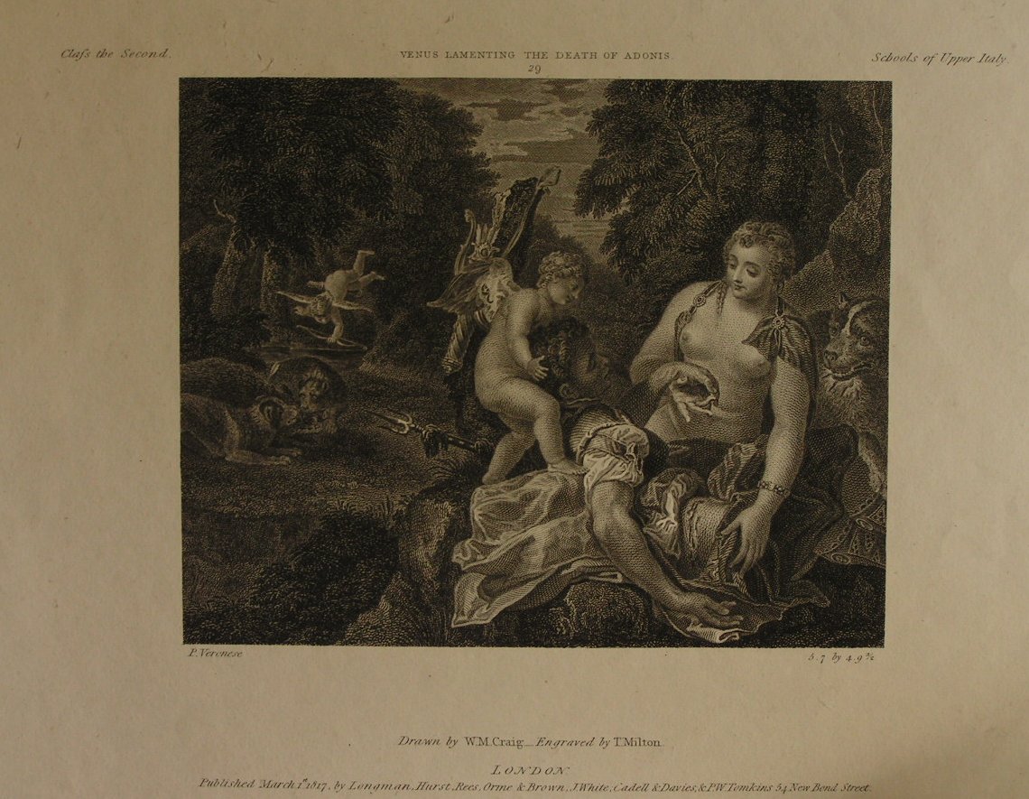 Print - Marquis of Stafford's Collection. Venus Lamenting the Death of Asonis - Milton