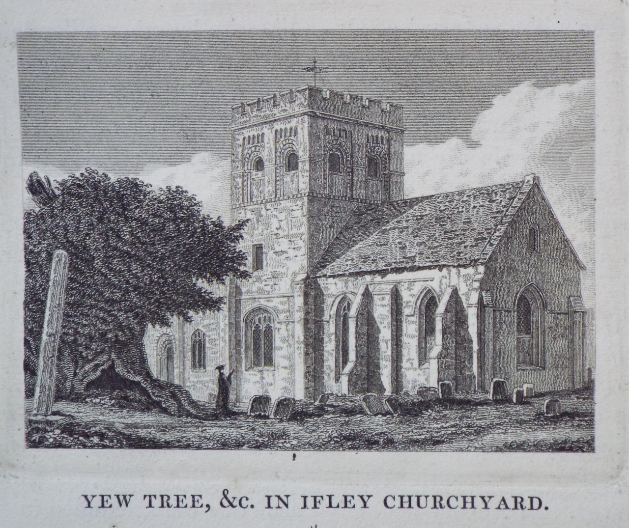 Print - Yew Tree, &c. in Ifley Churchyard.