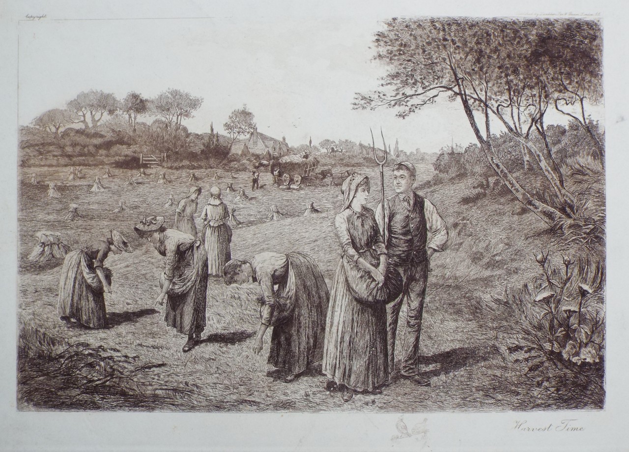Etching - Harvest Time