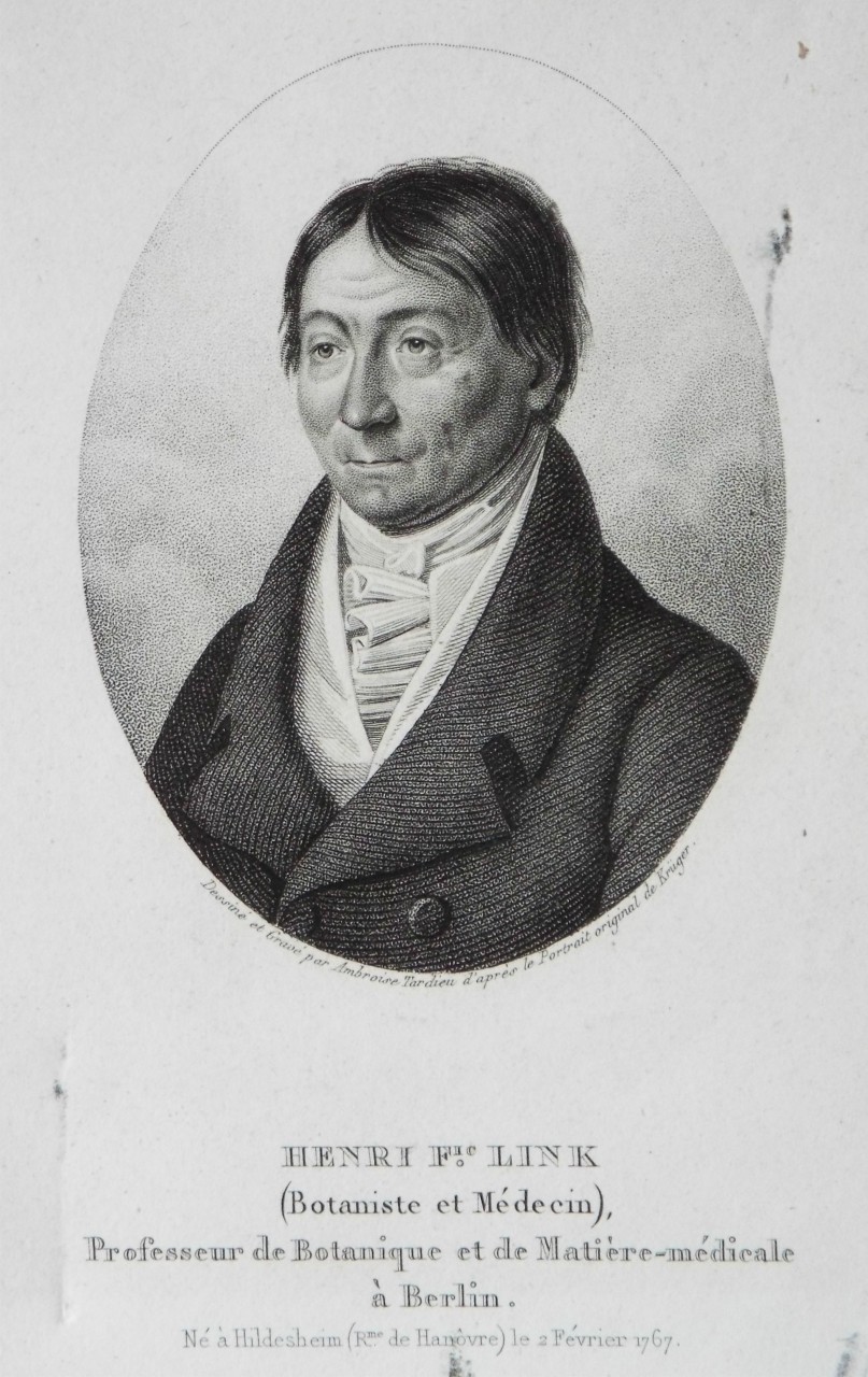 Stipple - Henri Fic. Link  (Botaniste et Medecin), Professeur de Botanique et de Matiere-medicale a Berlin. - Tardieu