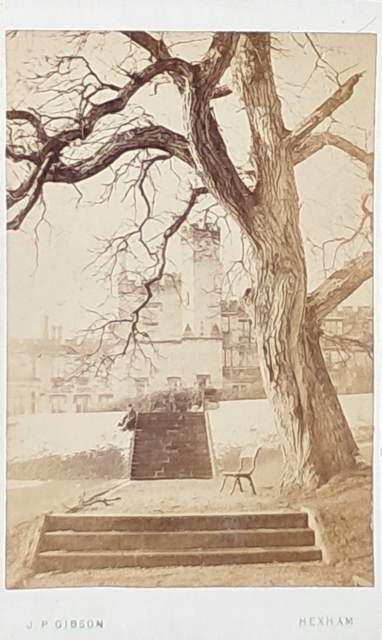 Photograph - Beaufort Castle, Hexham