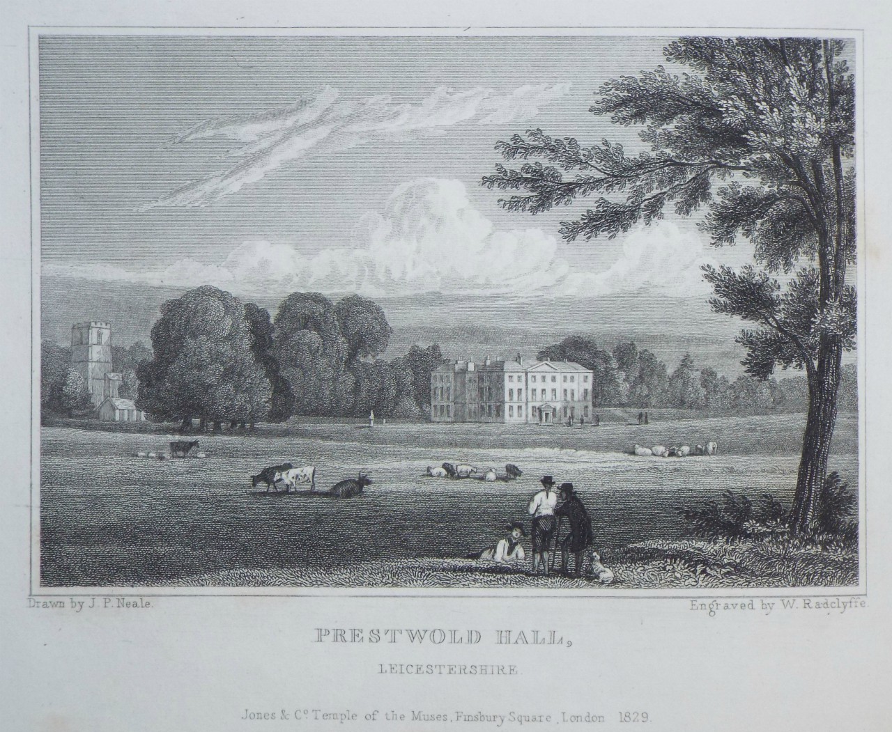 Print - Prestwold Hall, Leicestershire. - Radclyffe