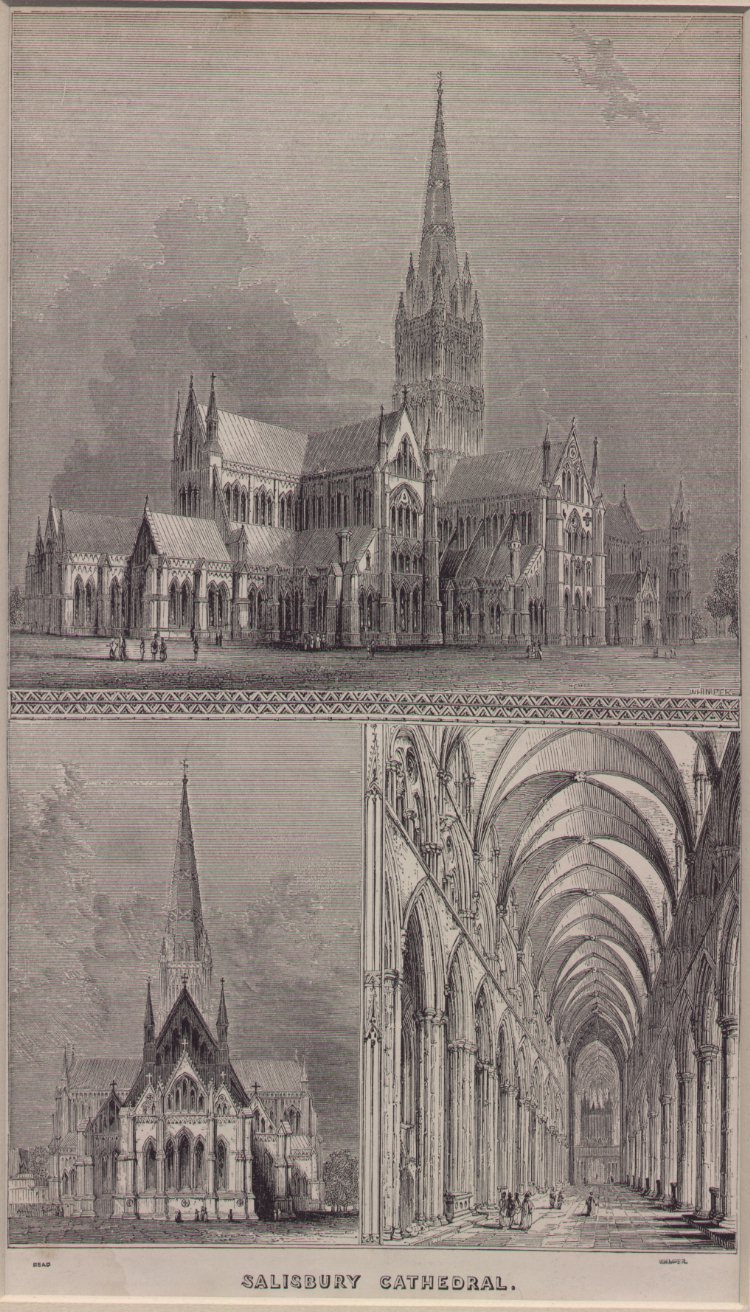 Wood - Salisbury Cathedral (3 views)