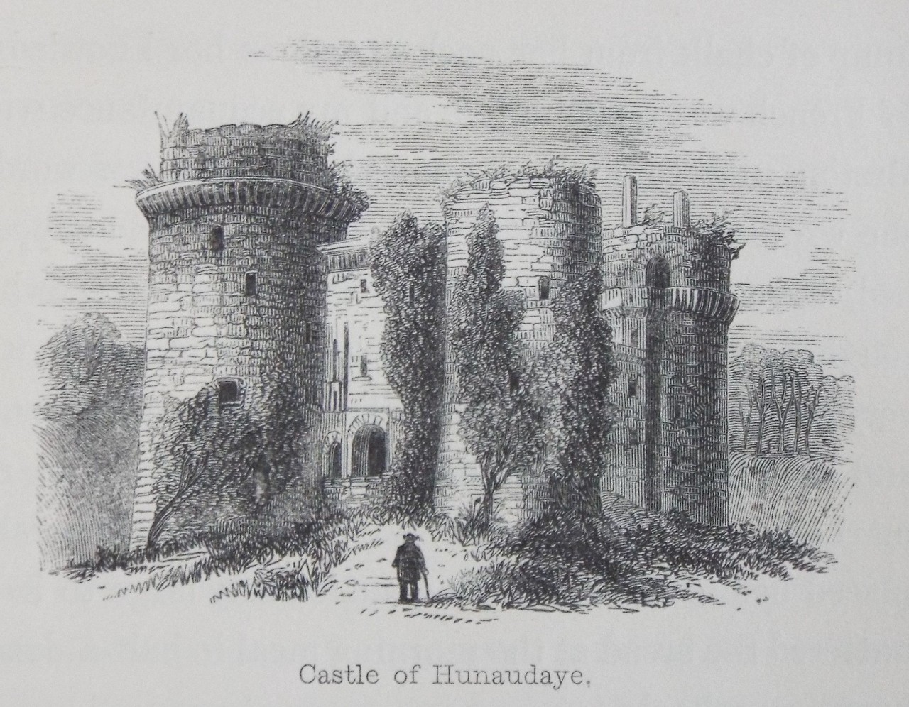 Wood - Castle of Hunaudaye.