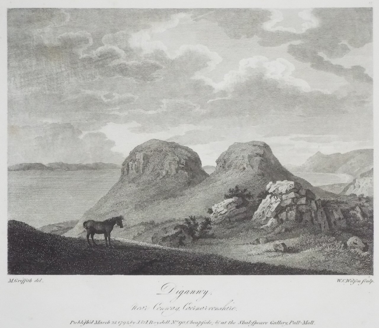 Print - Digannry, near Conway, Caernarvonshire. - Wilson