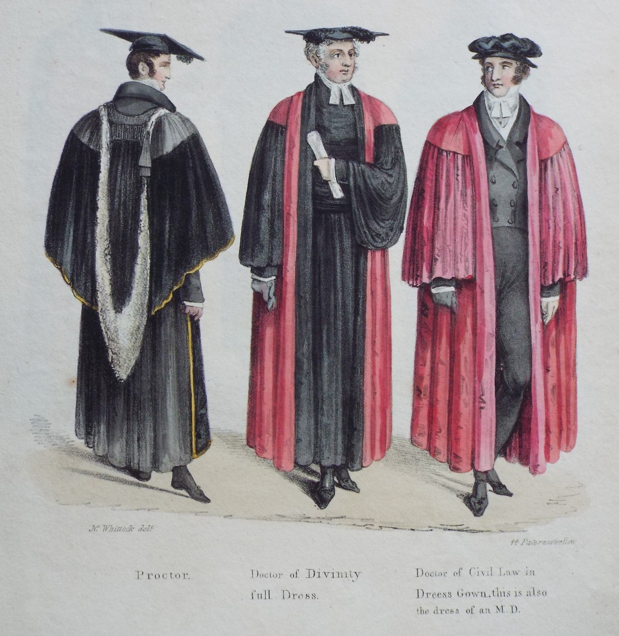 Lithograph - Proctor. Doctor of Divinity Full Dress. Doctor of Civil Law in Dress Gown, this is also the dress of an M. D.