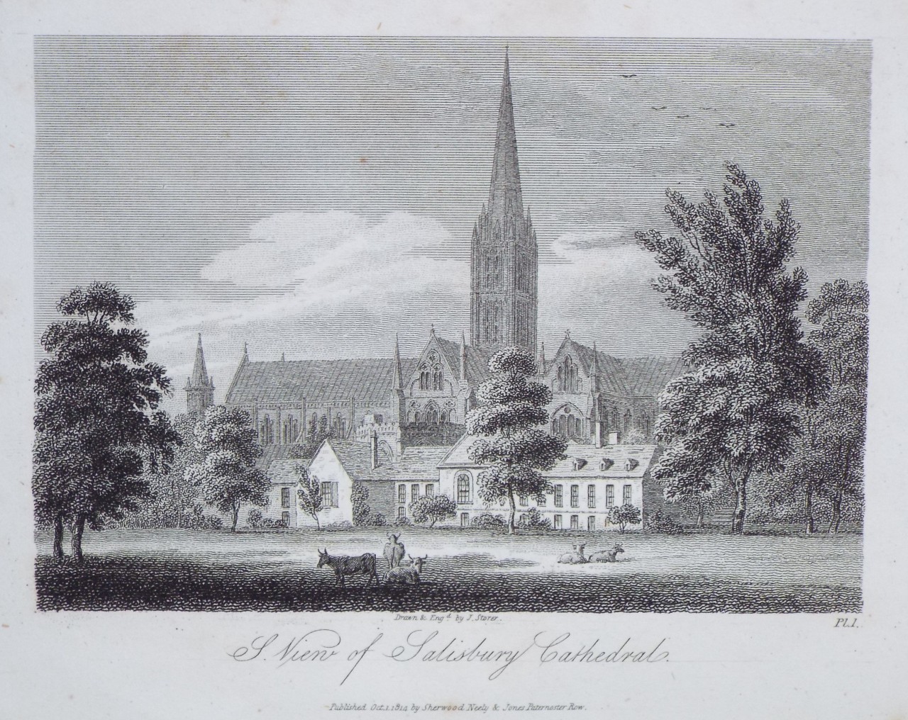 Print - A View of Salisbury Cathedral. - Storer