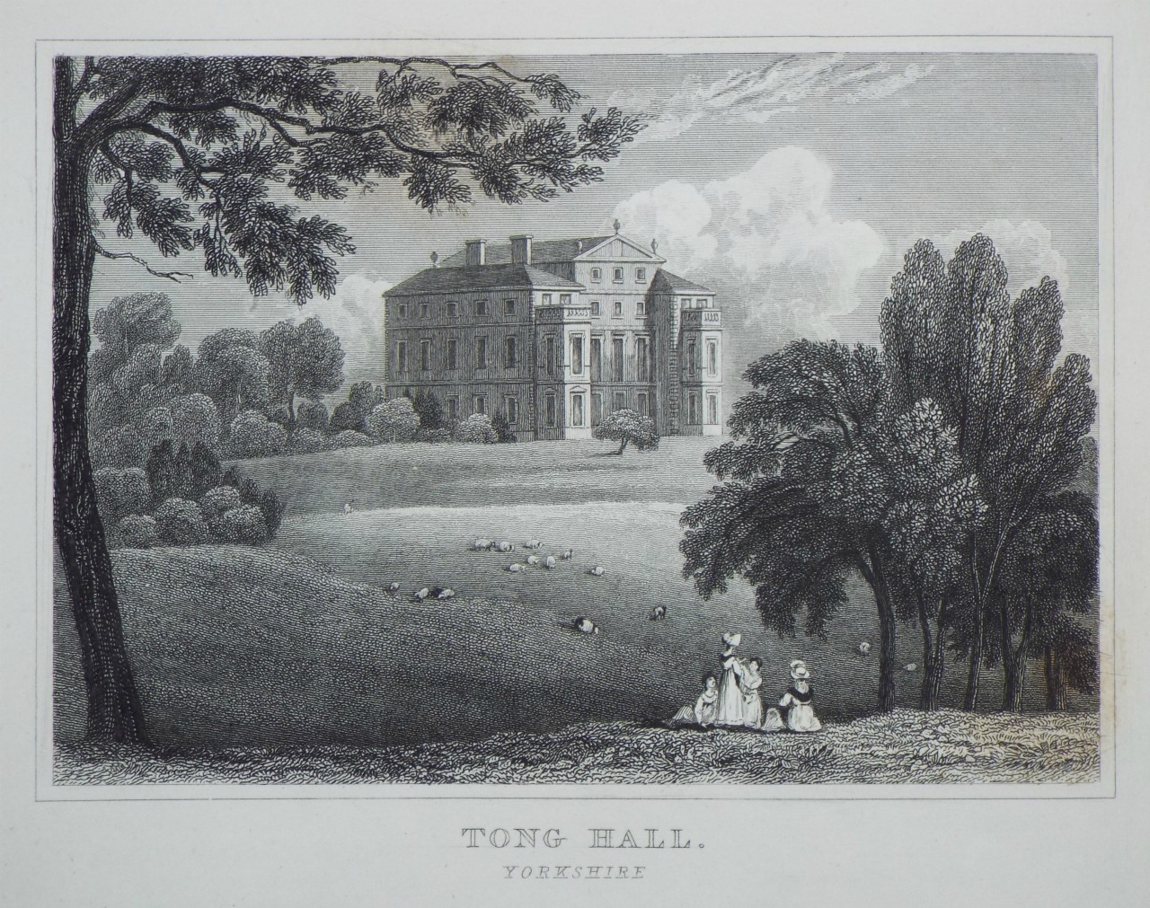 Print - Tong Hall, Yorkshire.  - Radclyffe