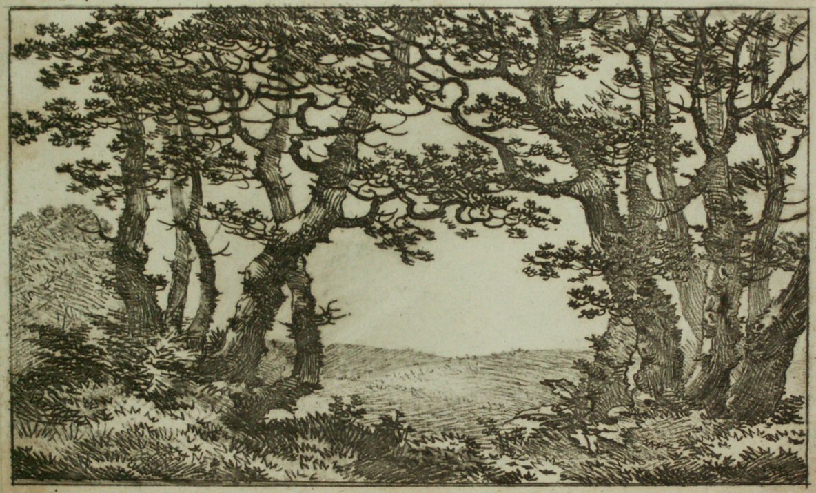 Etching - (Landscape with trees)