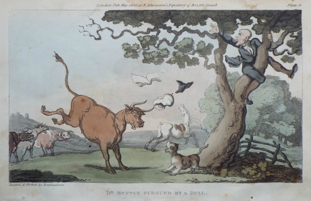 Aquatint - Doctor Syntax Pursued by a Bull - Rowlandson