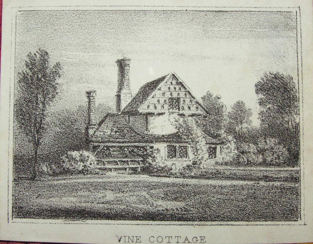 Lithograph - Vine Cottage