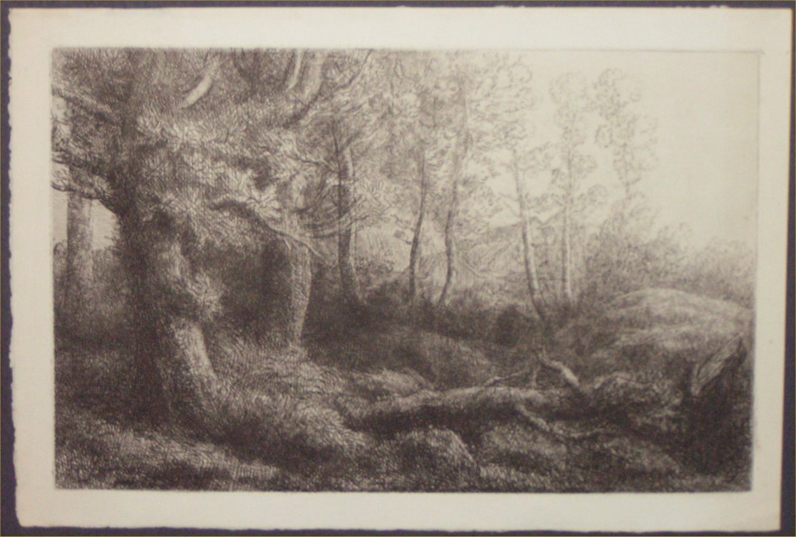 Etching - A Woodland Study. - Legros