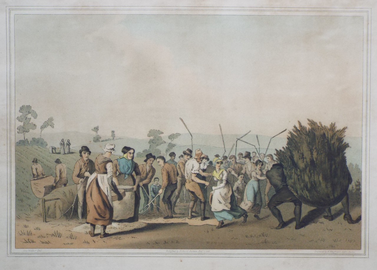 Aquatint - Rape Threshing - Kauffmann