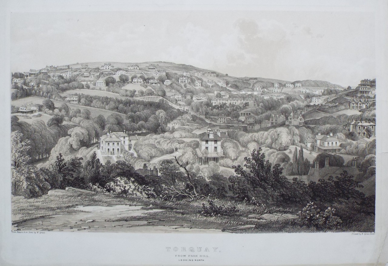 Lithograph - Torquay From the Park Hill Looking North - Spreat