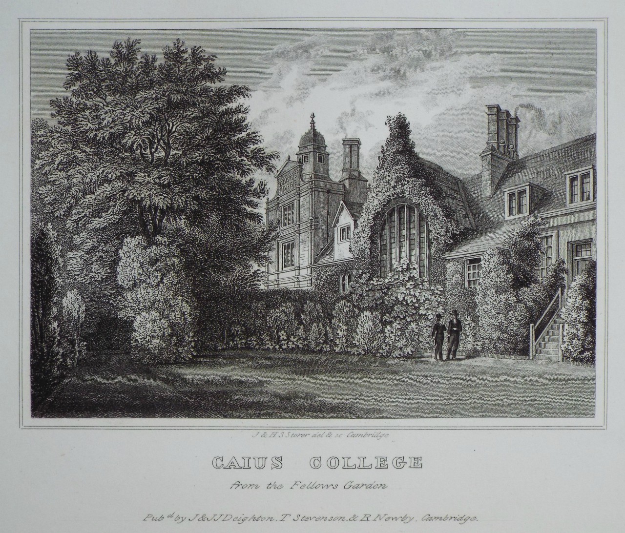 Print - Caius College from the Fellow's Garden - Storer