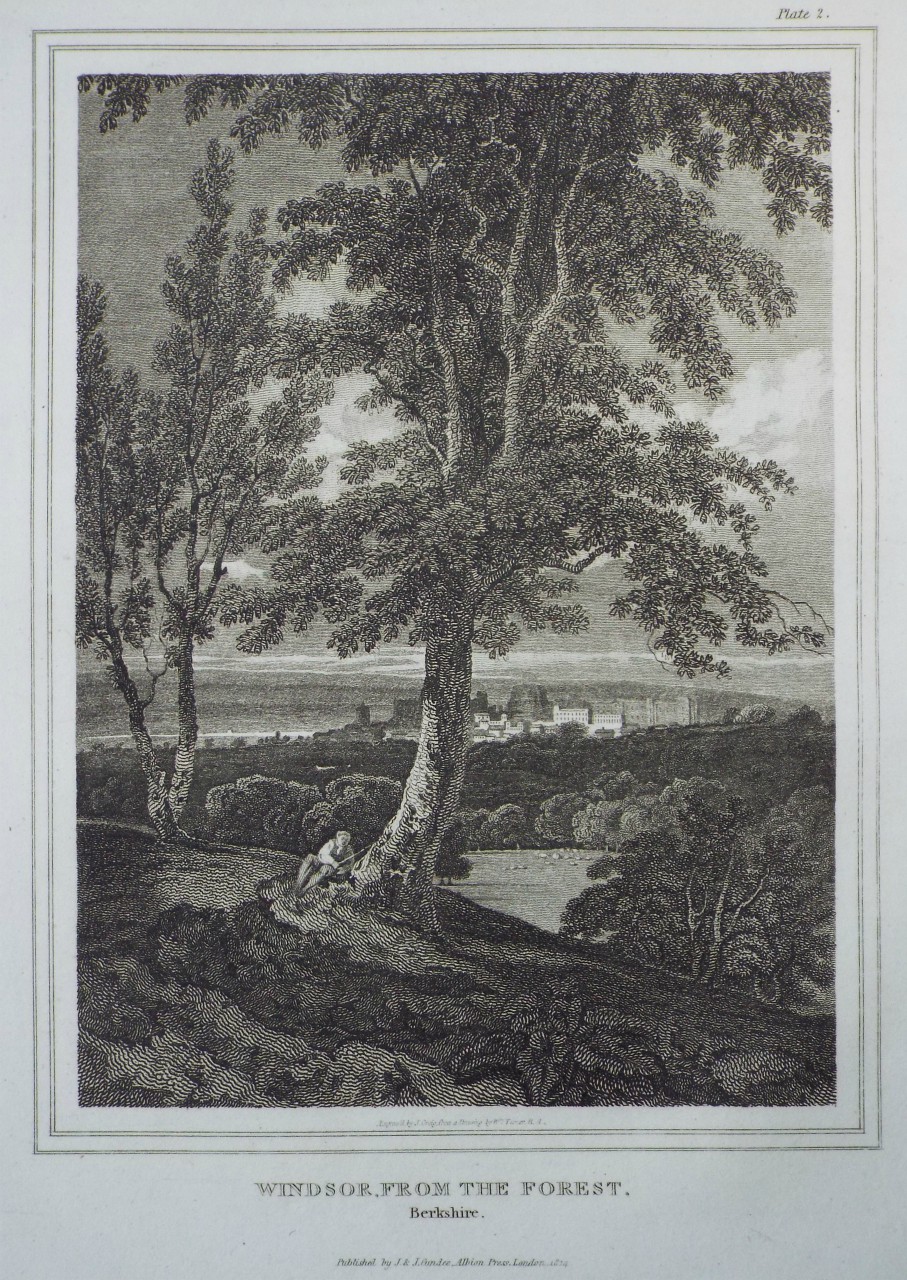 Print - Windsor, from the Forest, Berkshire. - Greig