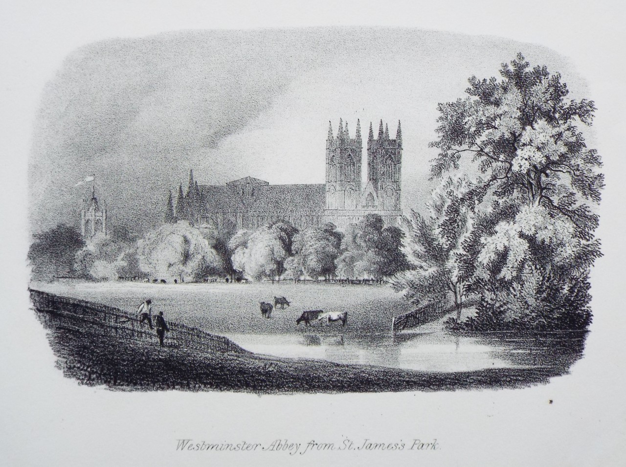 Lithograph - Westminster Abbey, from St. James's Park.