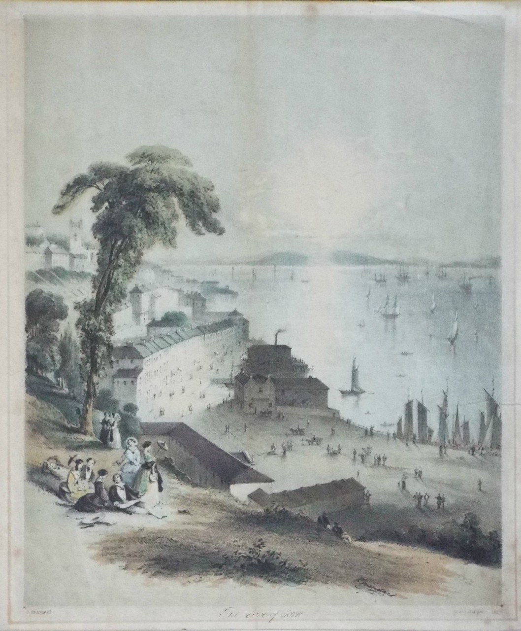 Lithograph - The Cove of Cork