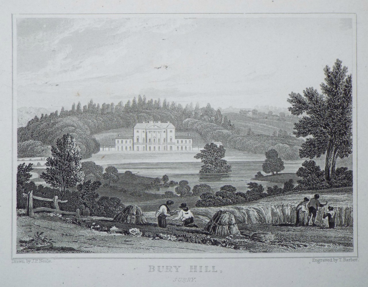 Print - Bury Hill, Surrey. - Barber