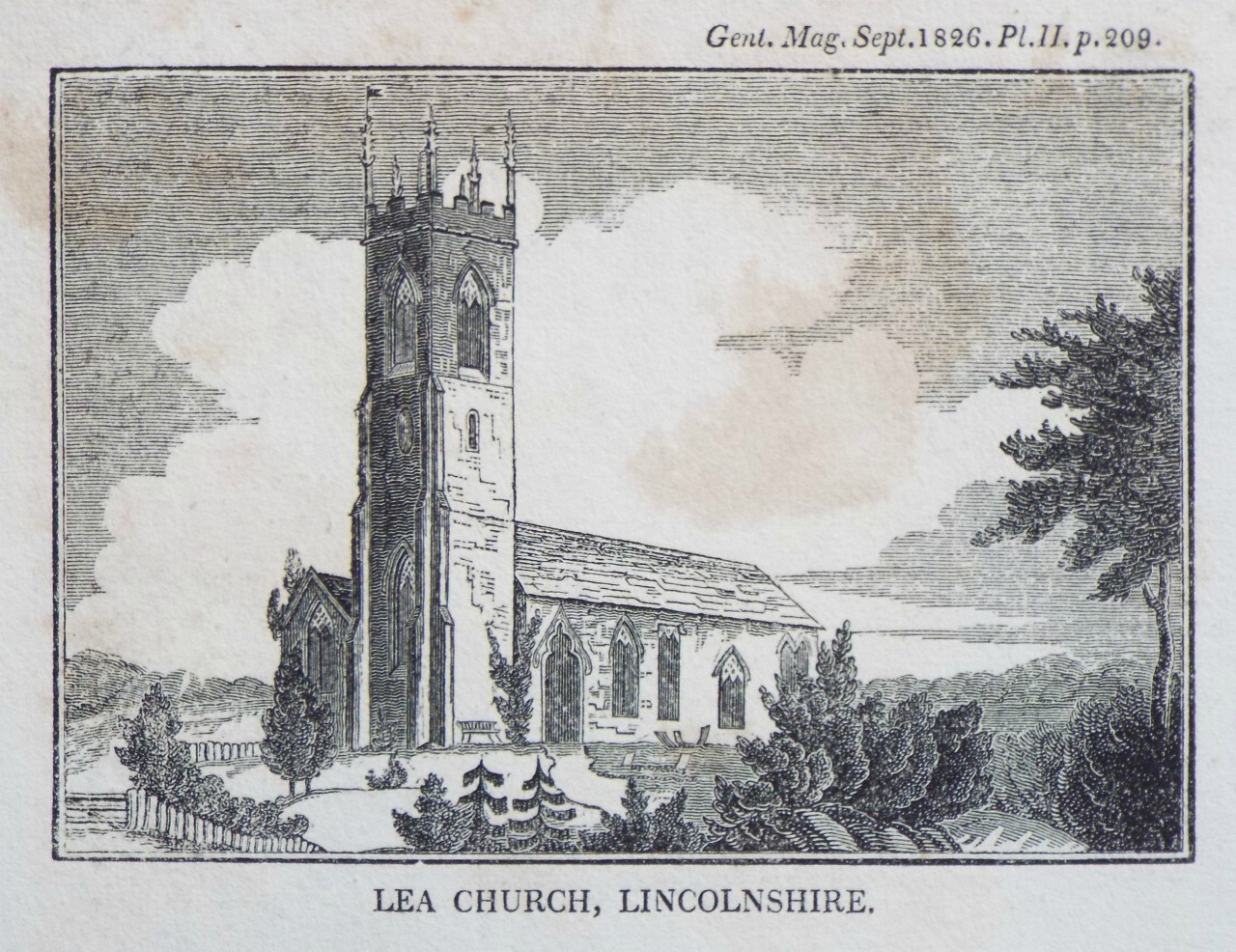 Wood - Lea Church, Lincolnshire.