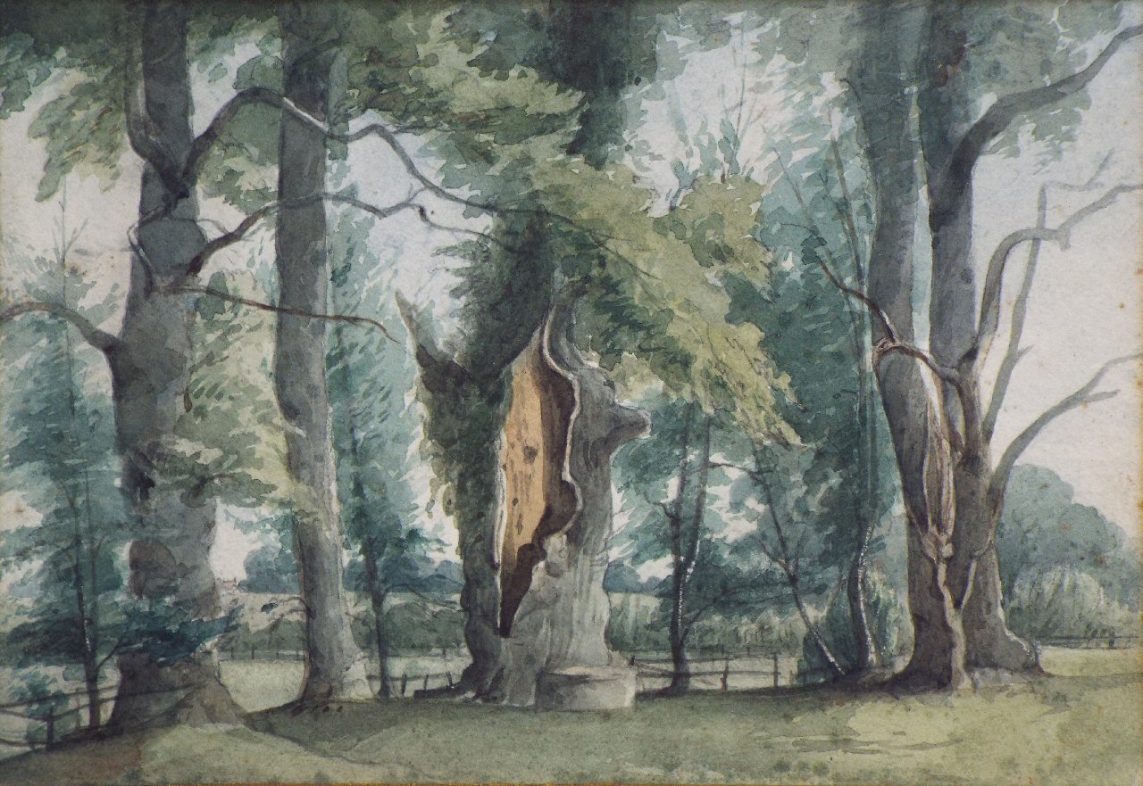 Watercolour - Old Trees, Panshanger Park, August 1861