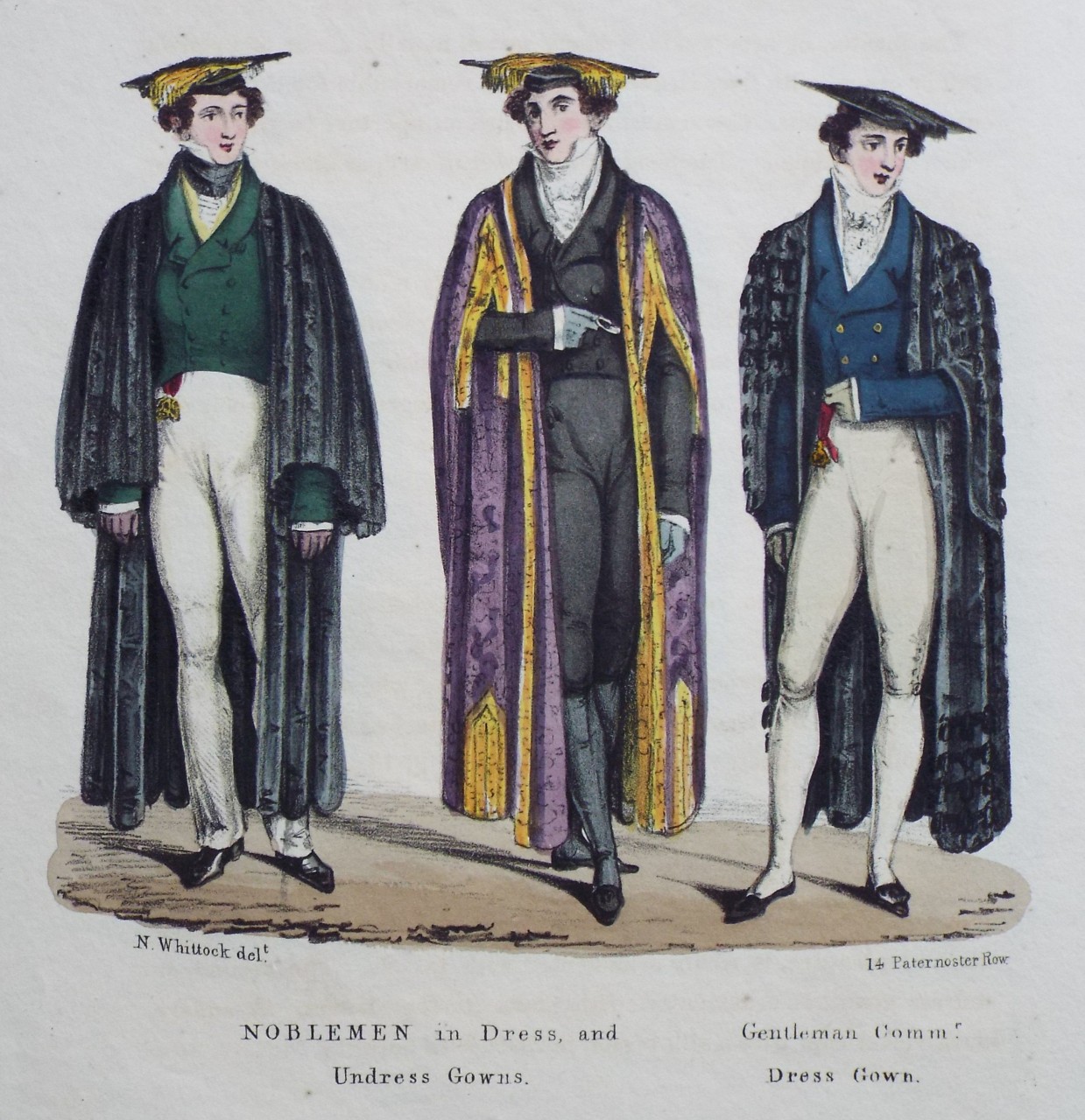Lithograph - Noblemen in Dress and Undress Gowns. Gentleman Commr. Dress Gown.