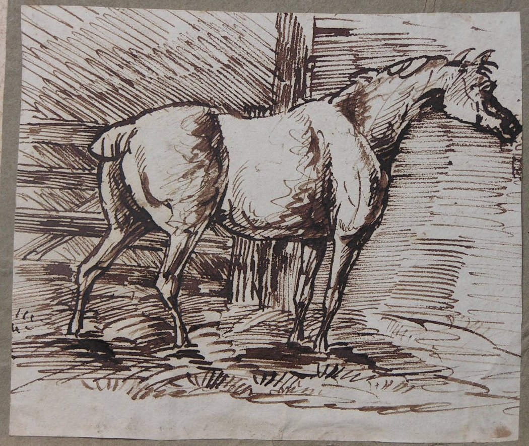 Pen & Ink - (Horse)