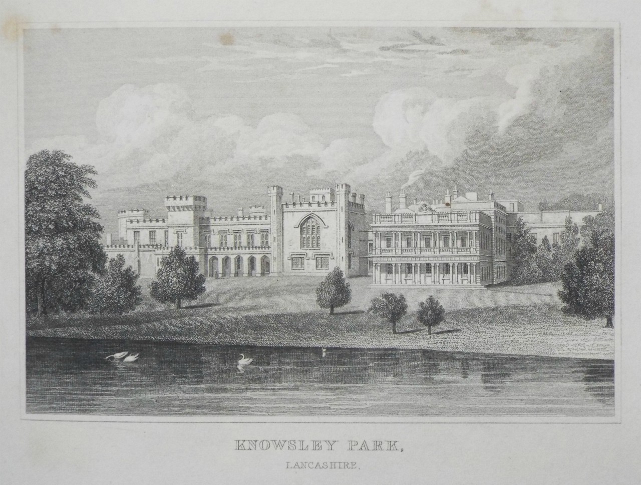 Print - Knowsley Park, Lancashire - Neale