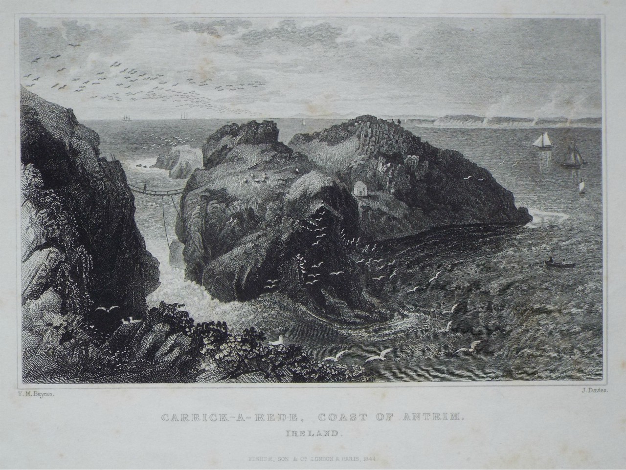 Print - Carrick-a-Rede, Coast of Antrim. Ireland. - Davies