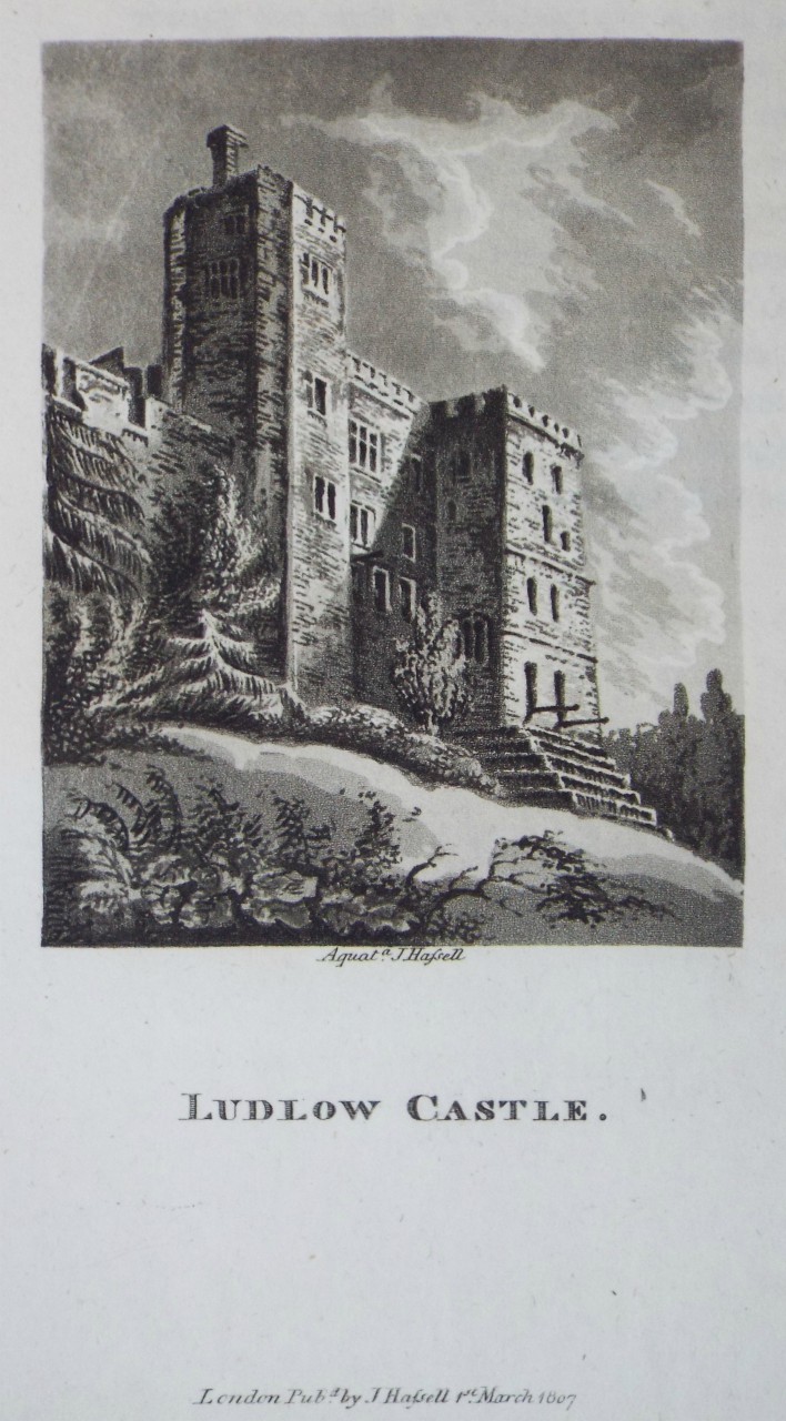 Aquatint - Ludlow Castle. - Hassell