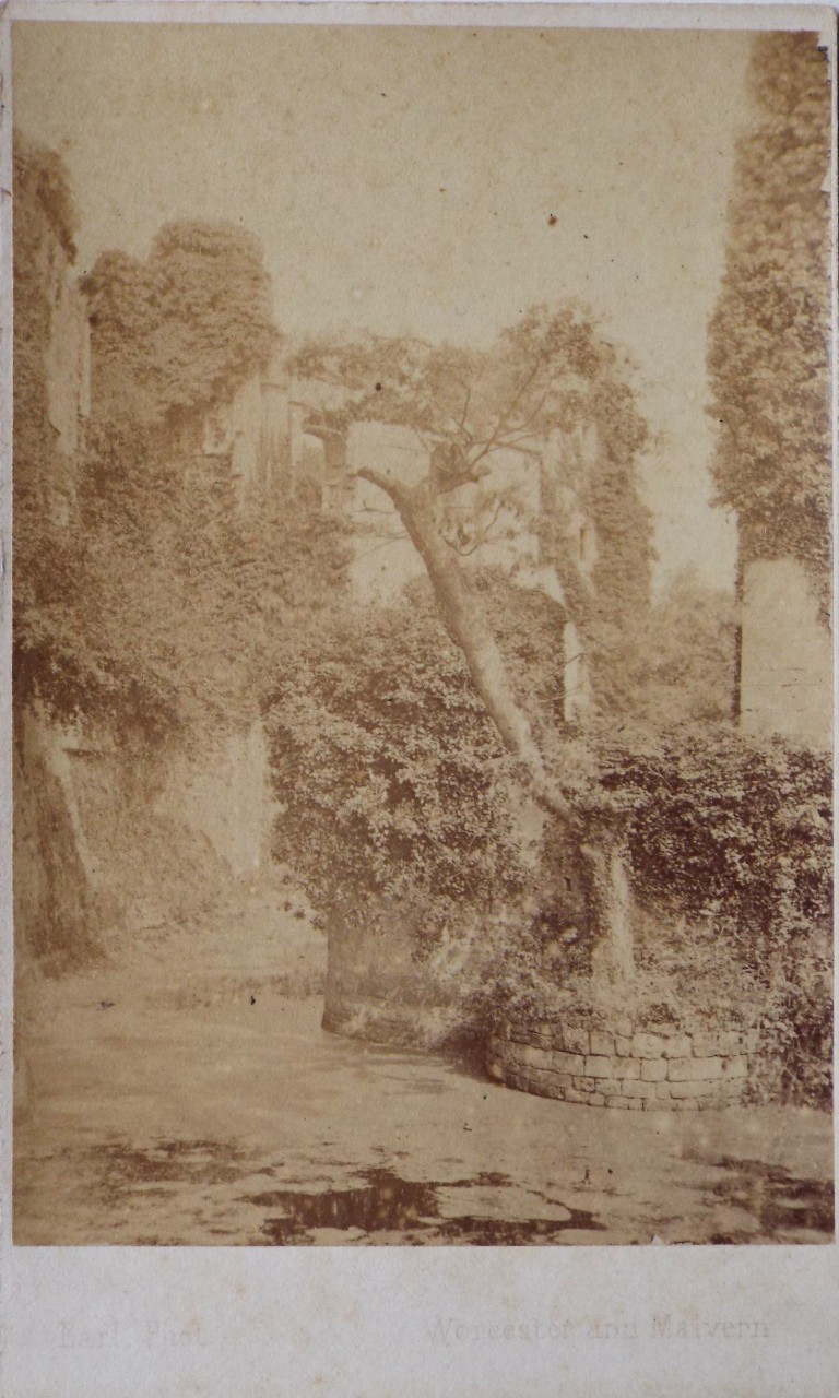 Photograph - Raglan Castle