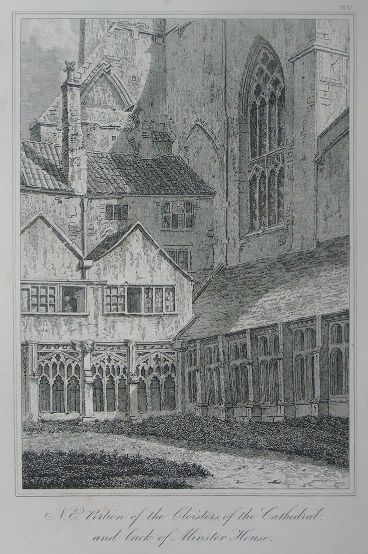 Etching - N.E. Portion of the Cloisters of the Cathedral, and back of the Minster House. - Skelton