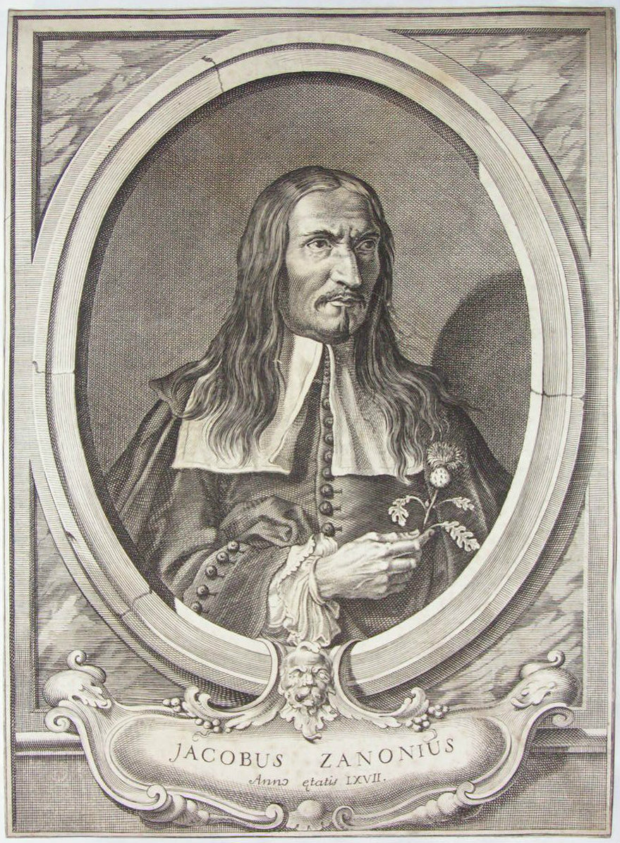 Print - Jacobus Zanonius