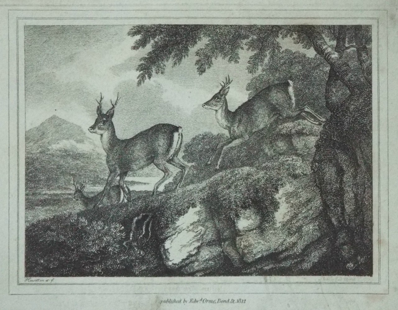 Print - (Deer) - Howitt