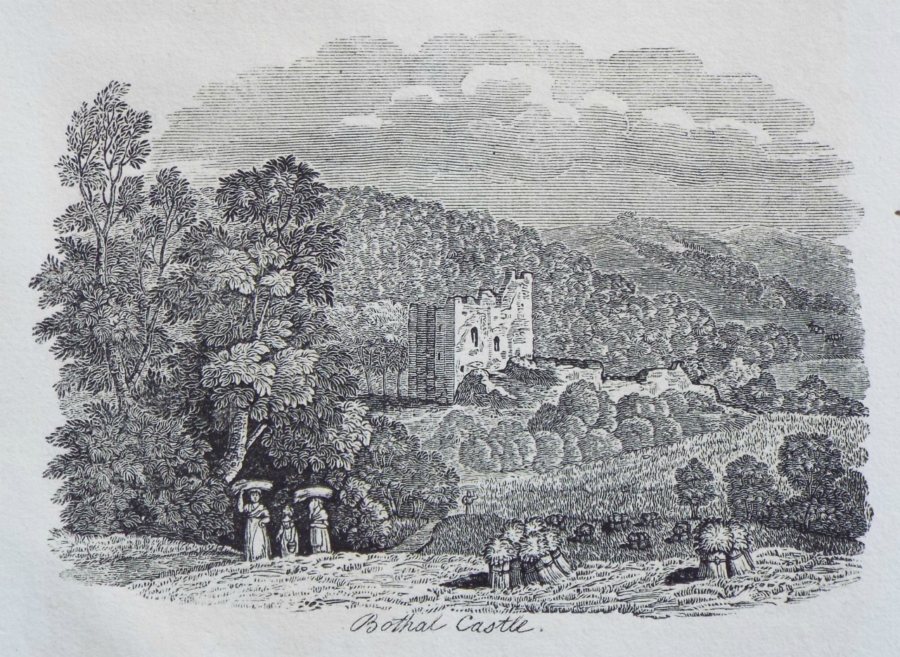 Wood - Bothal Castle.