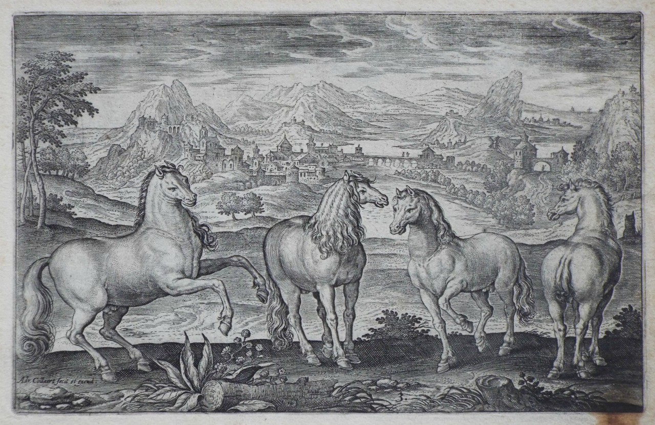 Print - Plate 3: Four horses - Collaert