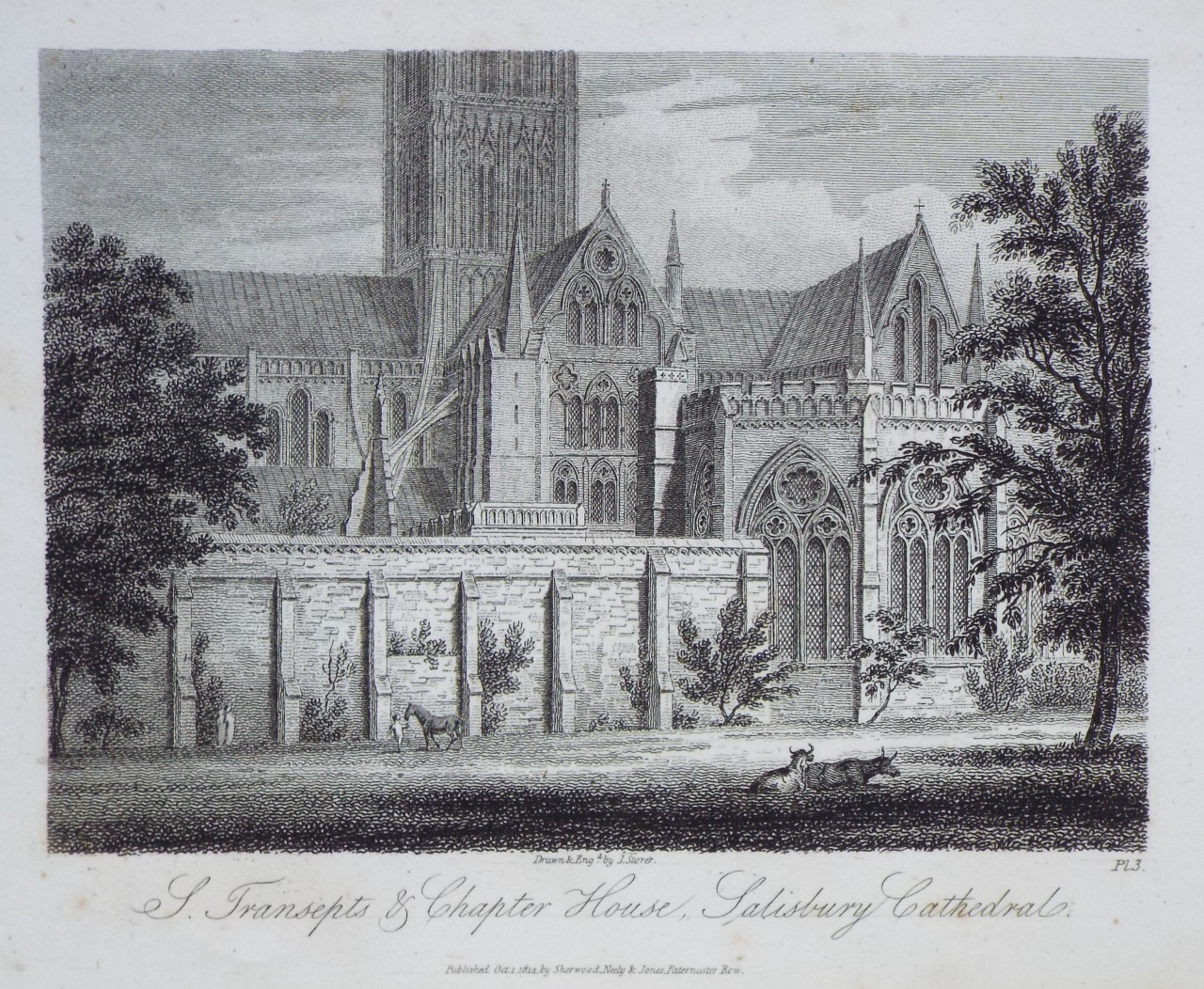 Print - S. Transept & Chapter House, Salisbury Cathedral. - Storer