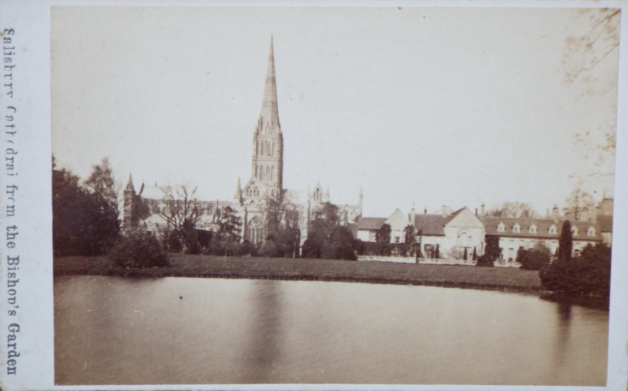 Photograph - Salisbury Cathedral from the Bishop's Garden.