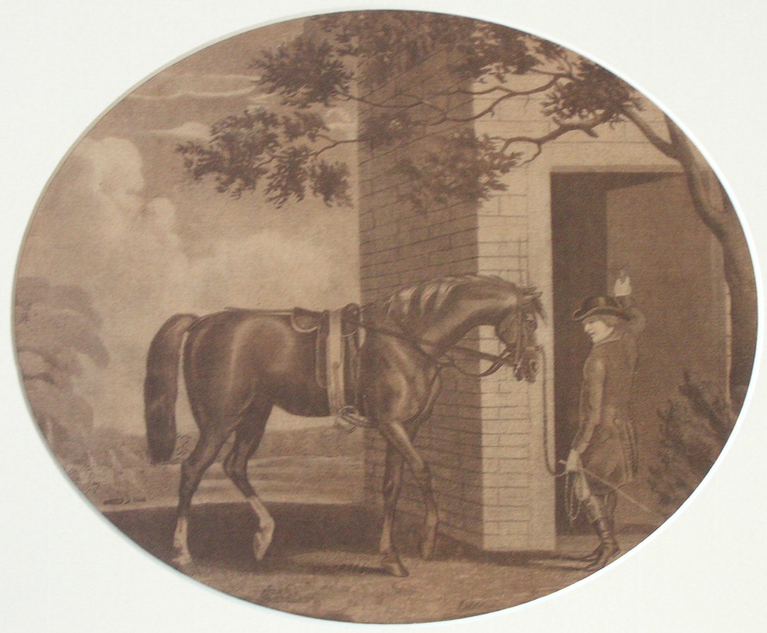 Lithograph - (Life and Death of a Racehorse 3)