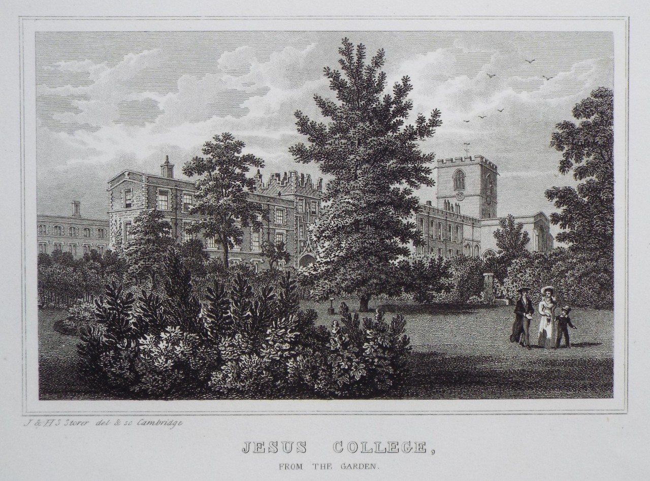 Print - Jesus College, from the Garden. - Storer