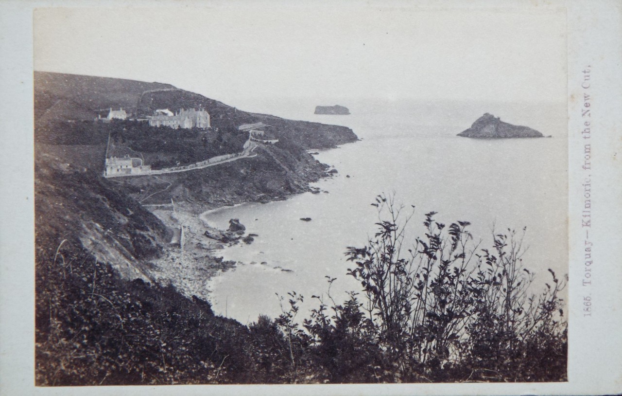 Photograph - Torquay - Kilmorie, from the New Cut.