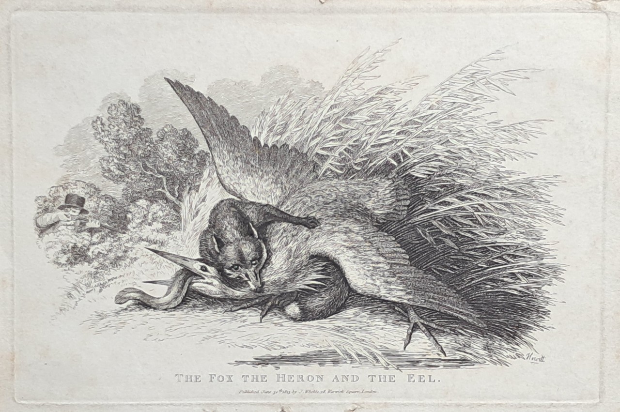 Print - The Fox the Heron and the Eeel. - Howitt