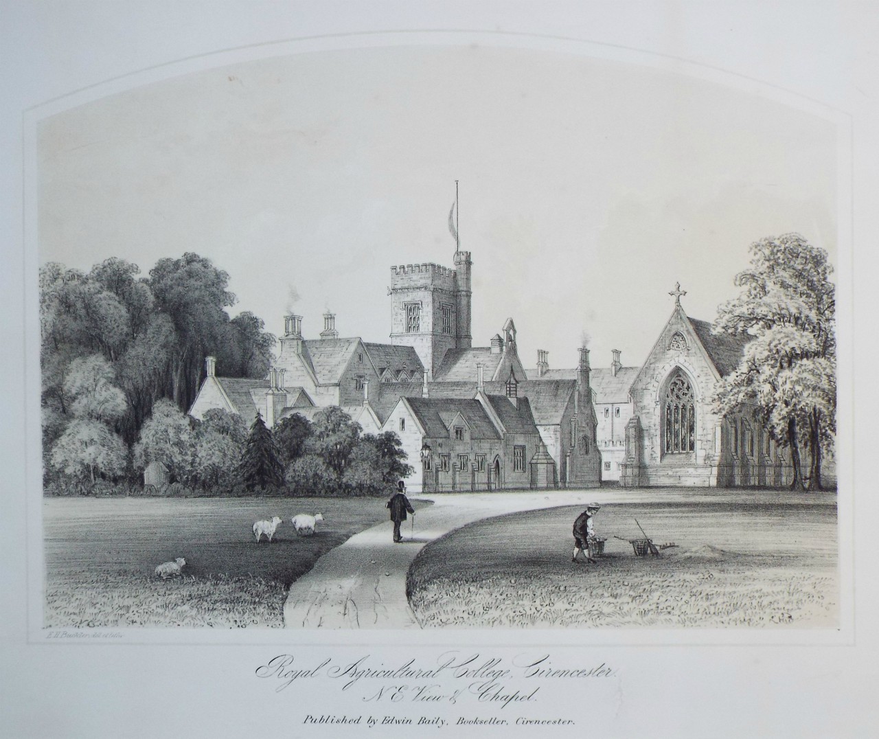 Lithograph - Royal Agricultural College, Cirencester. N. E. View & Chapel. - Buckler