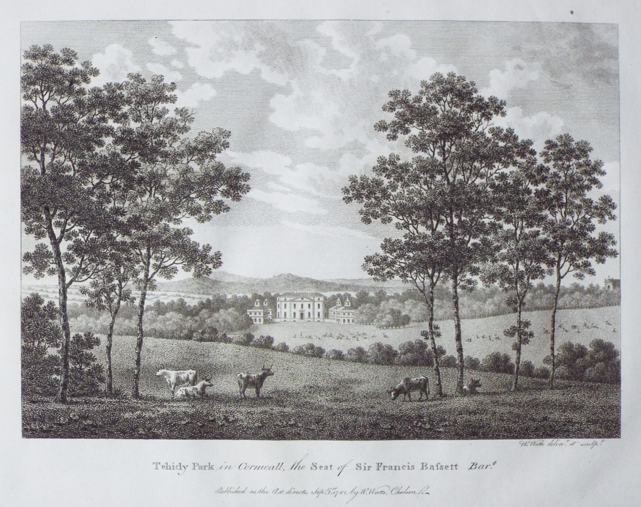 Print - Tehidy Park in Cornwall, the Seat of Sir Francis Bassett Bart. - Watts